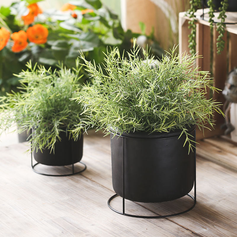 Creative Succulent Planter with Iron Stand Decor