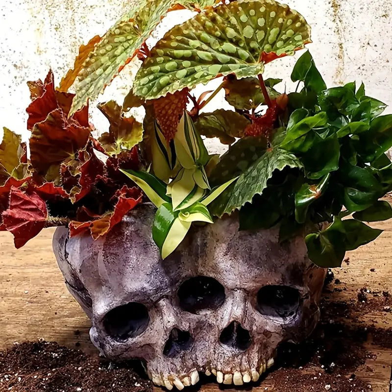 Skull Planter Pot for Indoor and Outdoor Plant Decor