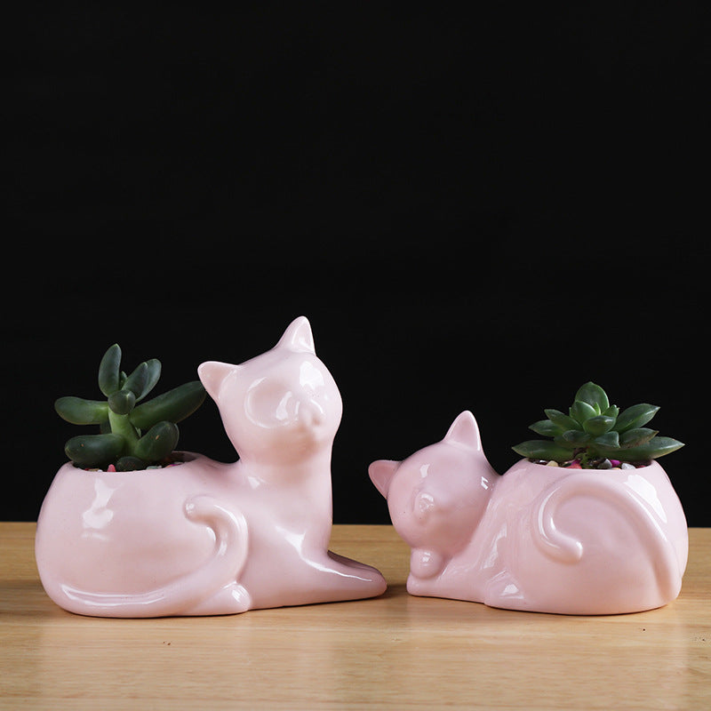 Ceramic Planter for Succulents and Cats