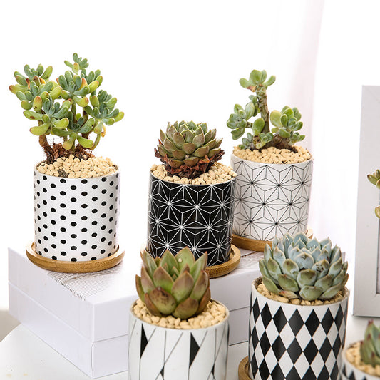 Geometric Ceramic Succulent Planter - Nordic Style