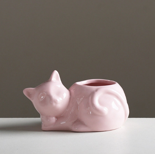 Ceramic Planter for Succulents and Cats
