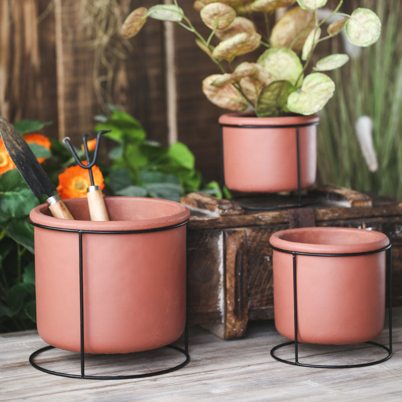 Creative Succulent Planter with Iron Stand Decor