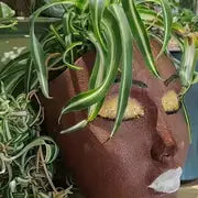 Resin Face Planter Pot for Indoor and Outdoor Decor