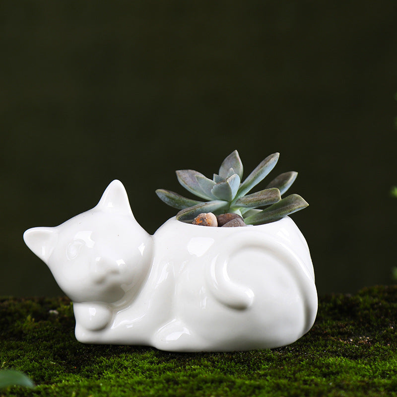 Ceramic Planter for Succulents and Cats
