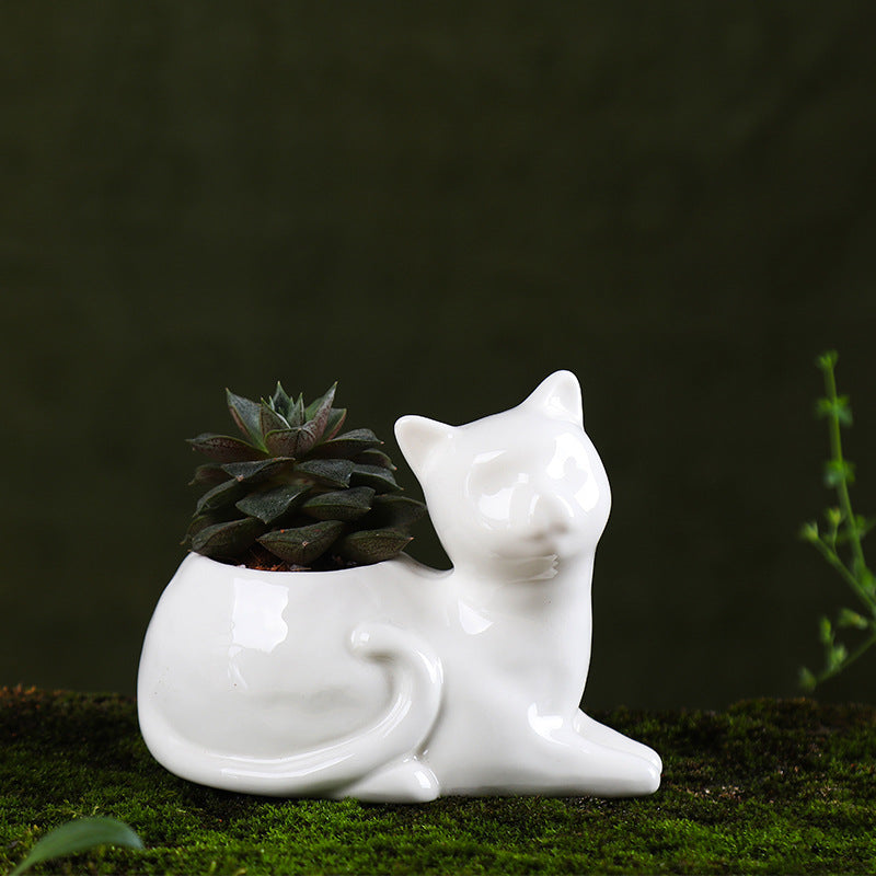 Ceramic Planter for Succulents and Cats