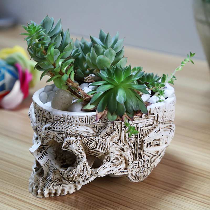 Creative Skull Planter Resin Pot for Indoor Decor
