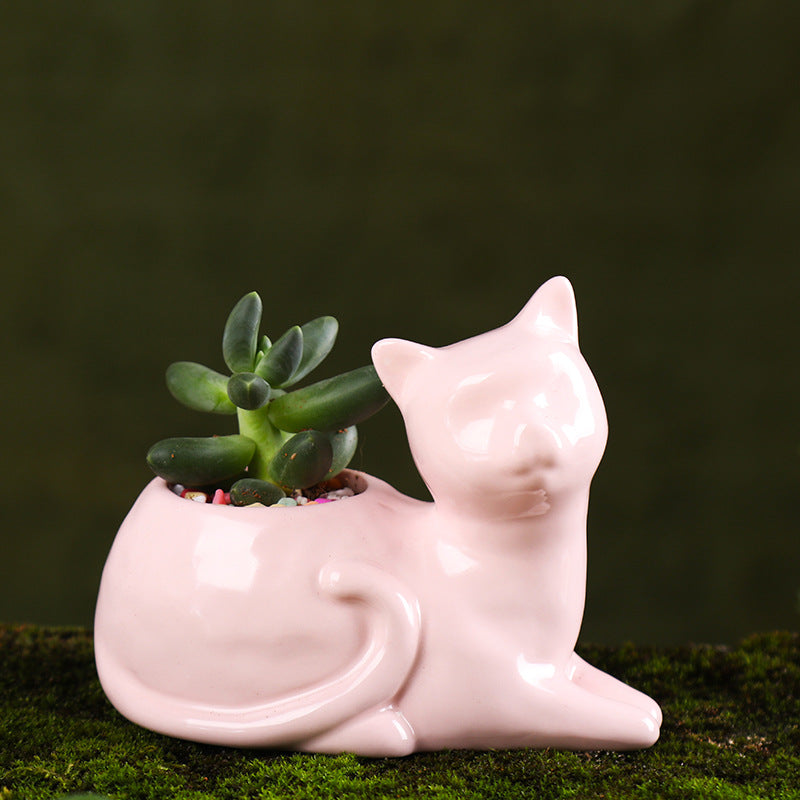 Ceramic Planter for Succulents and Cats
