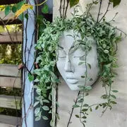 Resin Face Planter Pot for Indoor and Outdoor Decor