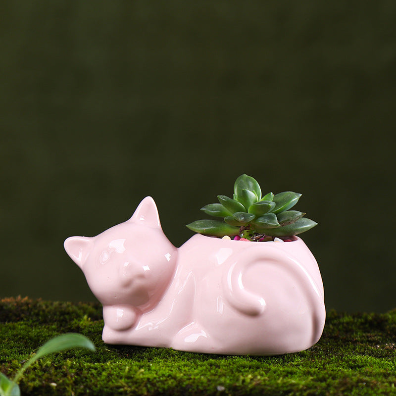 Ceramic Planter for Succulents and Cats