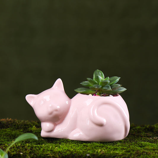 Ceramic Planter for Succulents and Cats