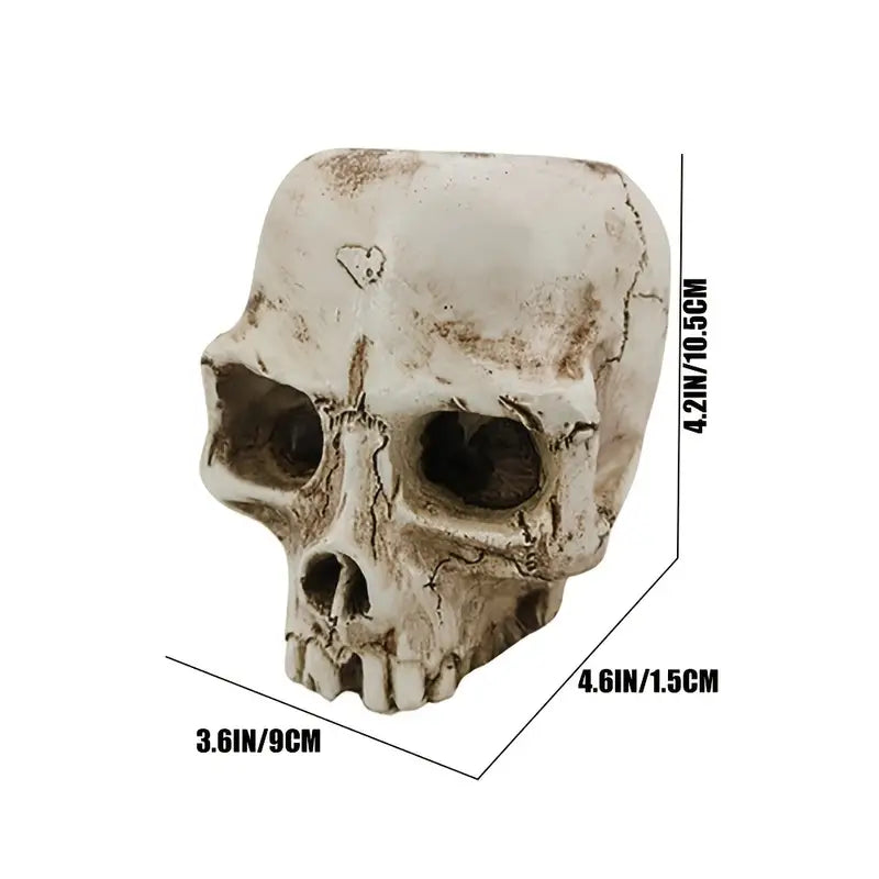 Skull Planter Pot for Indoor and Outdoor Plant Decor