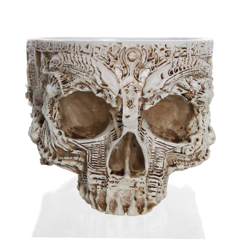 Creative Skull Planter Resin Pot for Indoor Decor