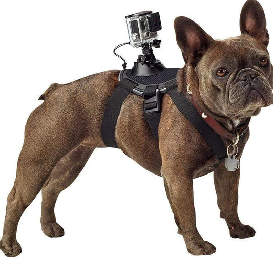 Dog Chest Strap for Pets - Comfortable and Durable