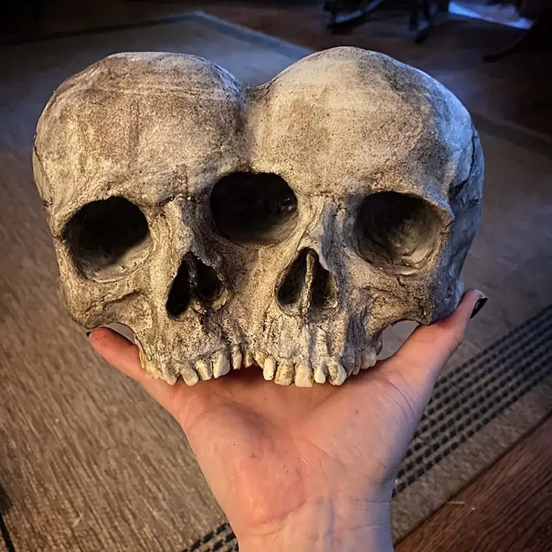 Skull Planter Pot for Indoor and Outdoor Plant Decor