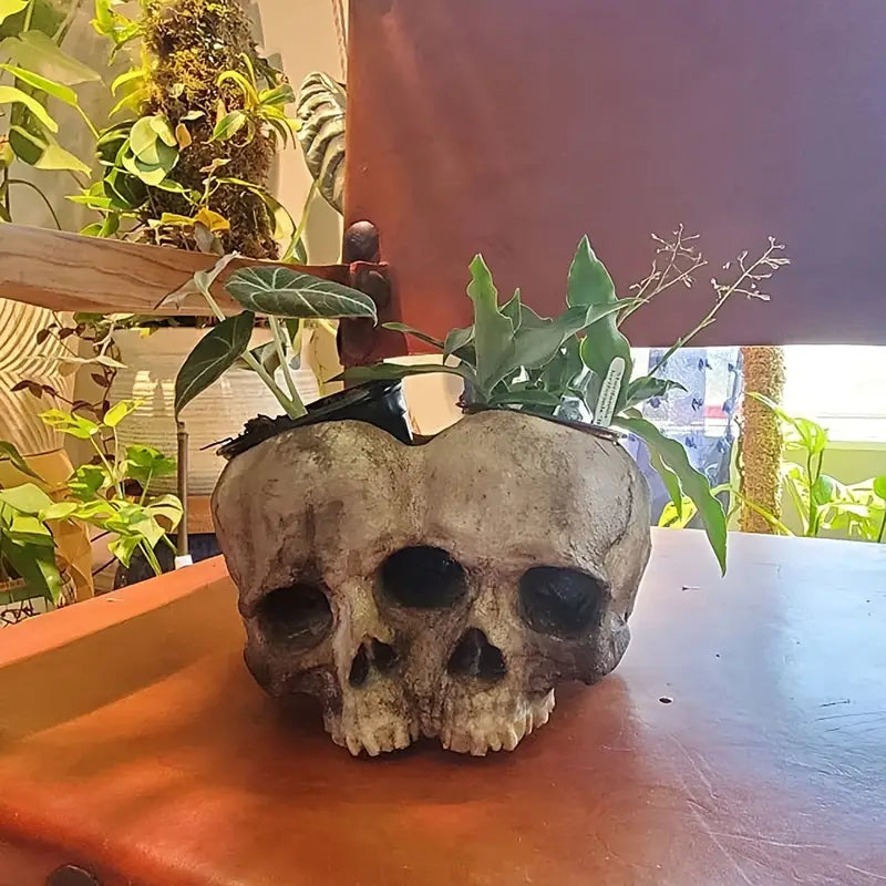Skull Planter Pot for Indoor and Outdoor Plant Decor