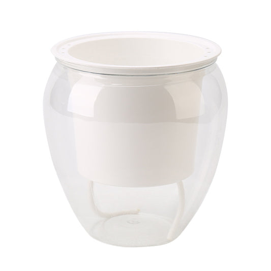 Self-Watering Transparent Plastic Planter for Succulents
