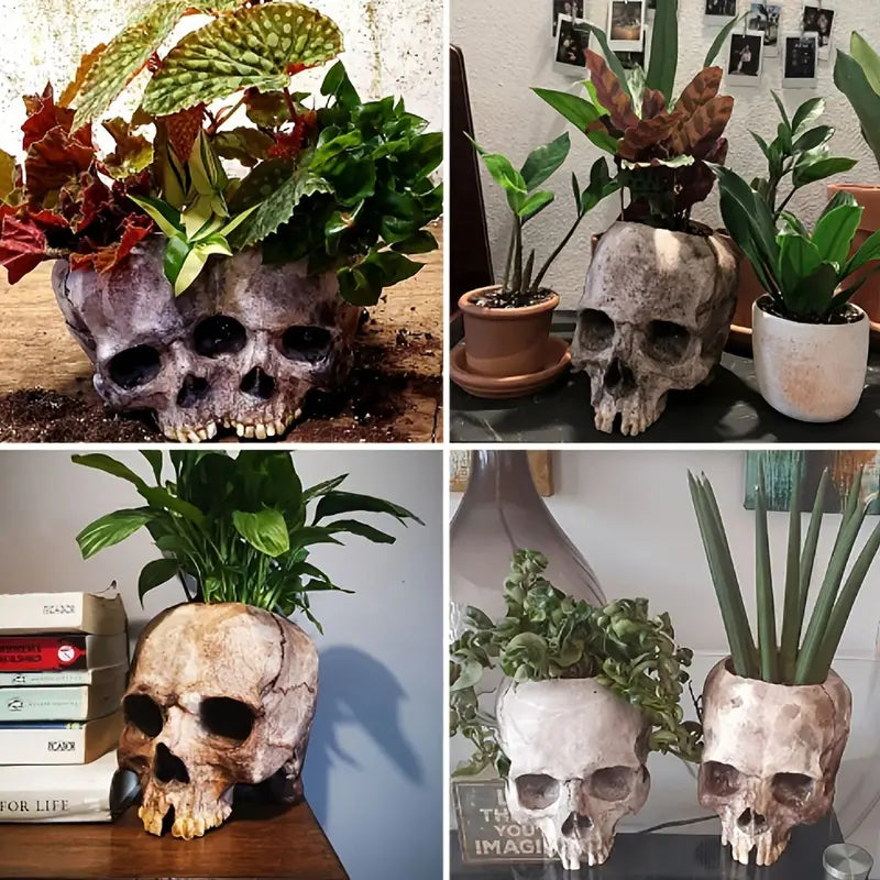 Skull Planter Pot for Indoor and Outdoor Plant Decor